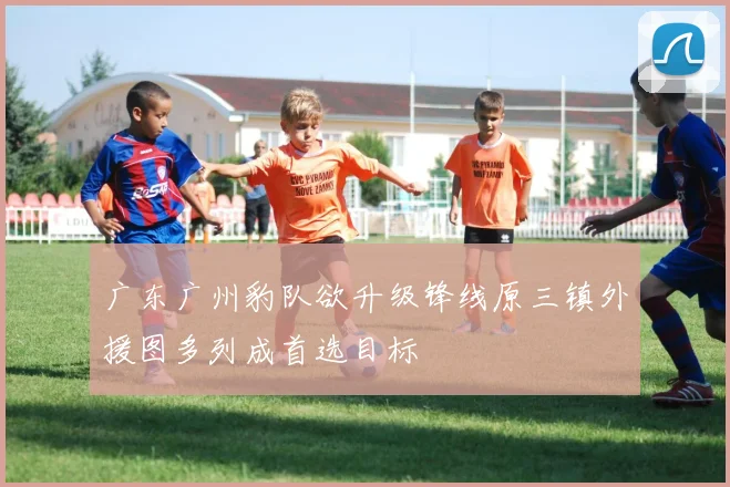 广东广州豹队欲升级锋线原三镇外援图多列成首选目标