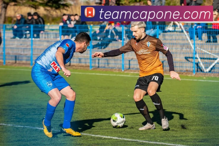 乐动在线平台平台生态图