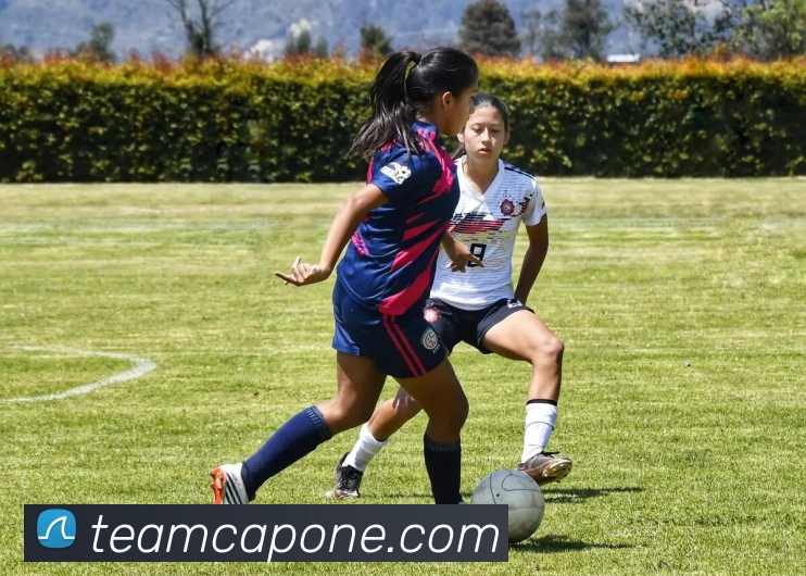 乐动在线平台APP 高清赛事图